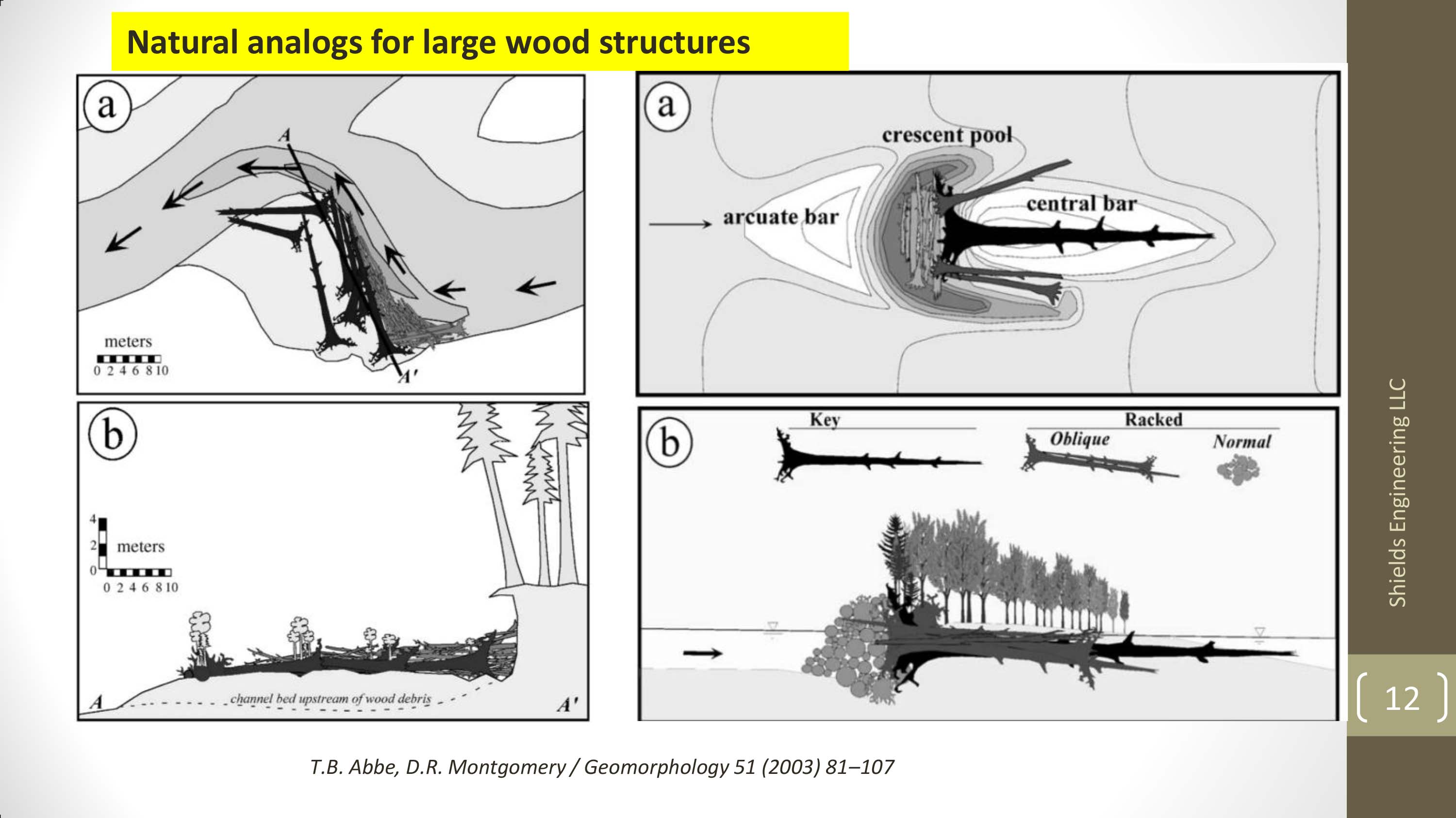 Key issues for design para el laneamiento y diseño para la rehabilitación de ríos usando grandes restos de madera