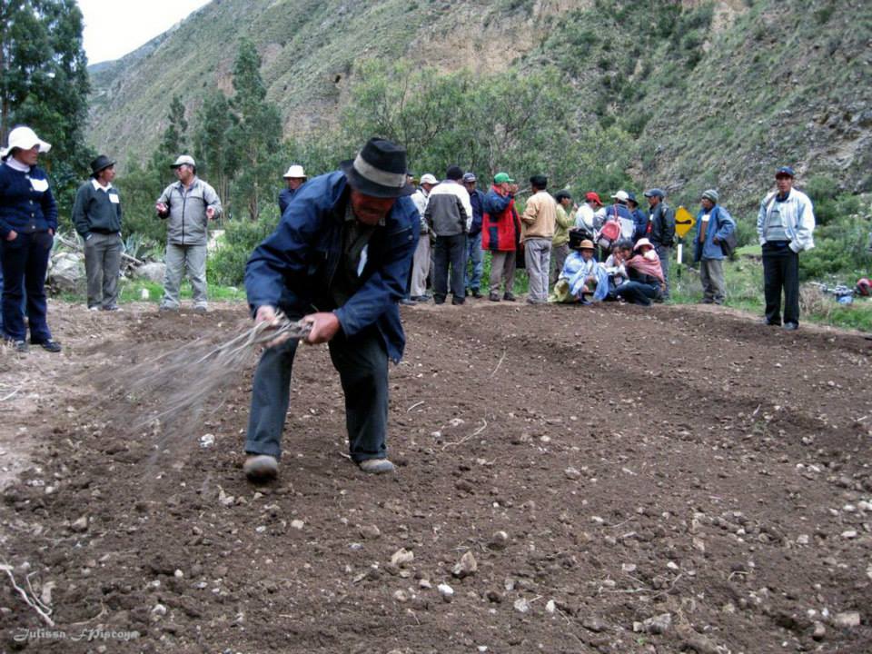  Desalinización del agua del mar para uso domestico