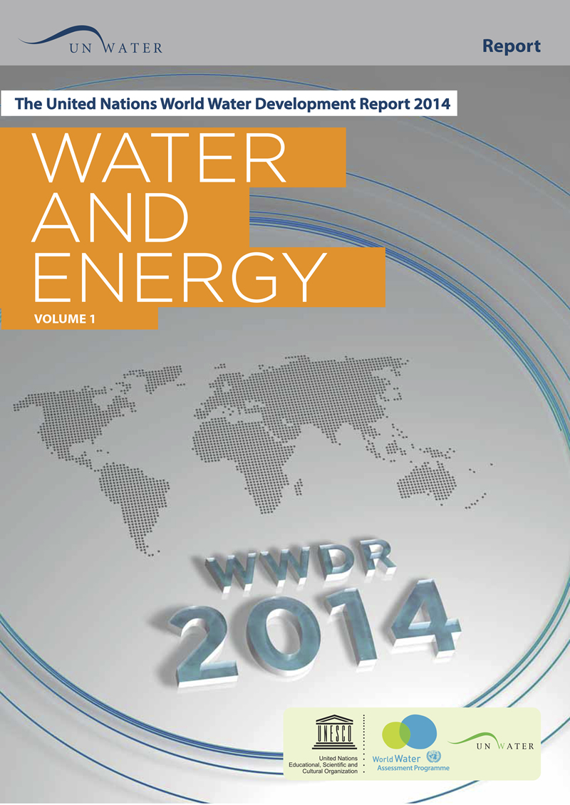 QUINTO INFORME DE RECURSOS HIDRICOS DE NACIONES UNIDAS: AGUA Y ENERGIA
