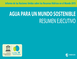 Informe Naciones Unidas 2015: Agua para un mundo sostenible