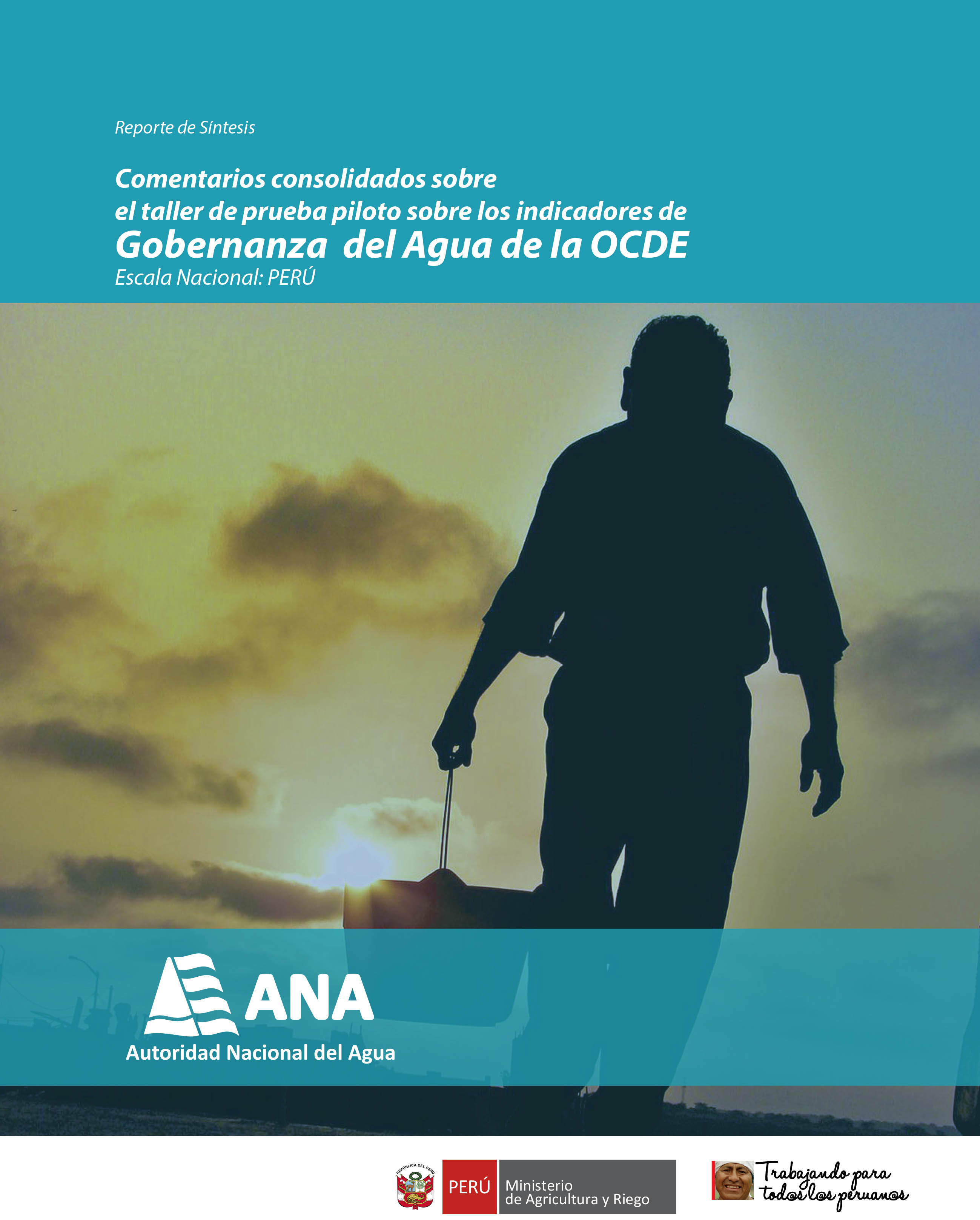 Reporte Síntesis: Comentarios consolidados sobre el taller de prueba piloto sobre los indicadores de Gobernanza del Agua de la OCDE Escala Nacional: PERÚ