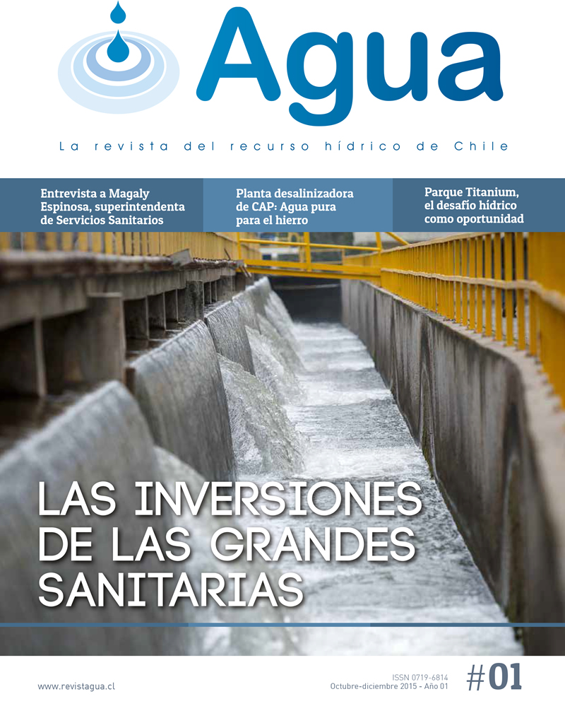 Revista Agua N° 1